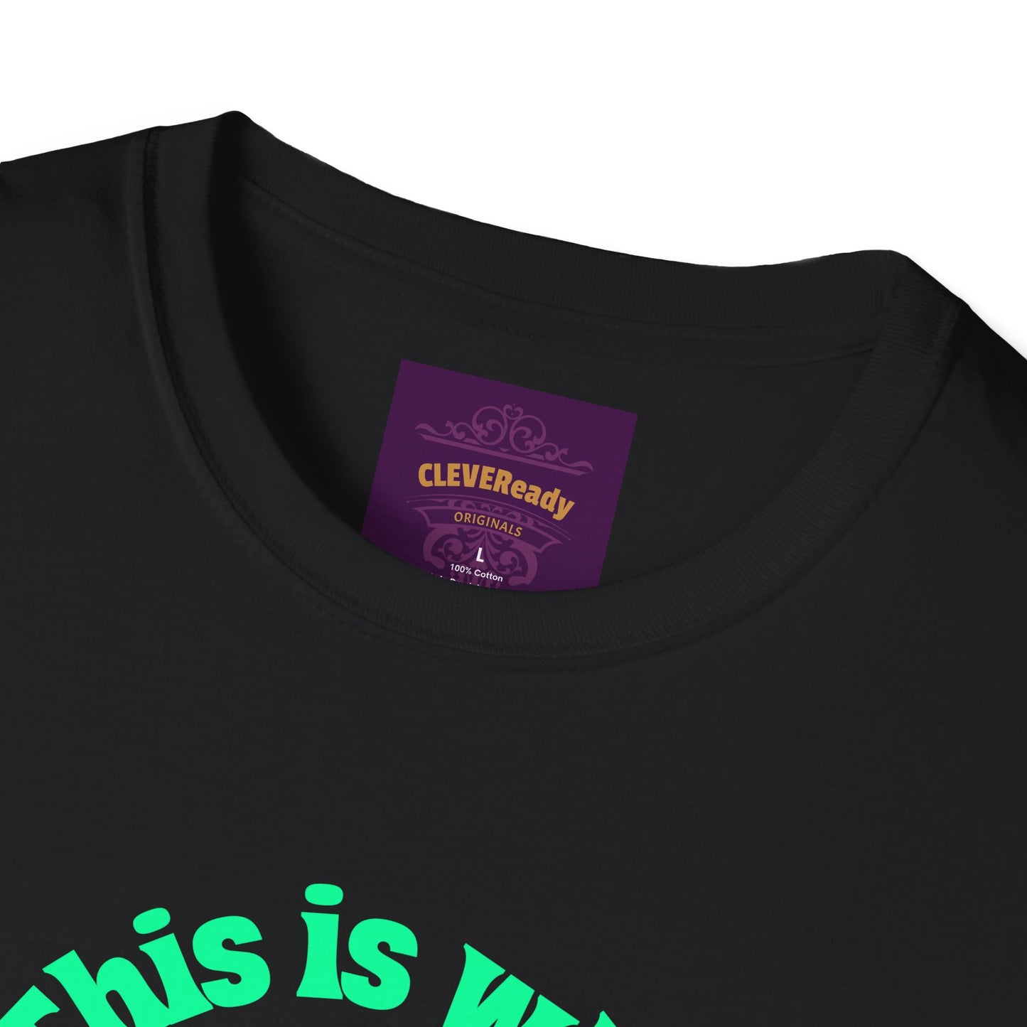 Not Too Shabby - Unisex Softstyle T-Shirt