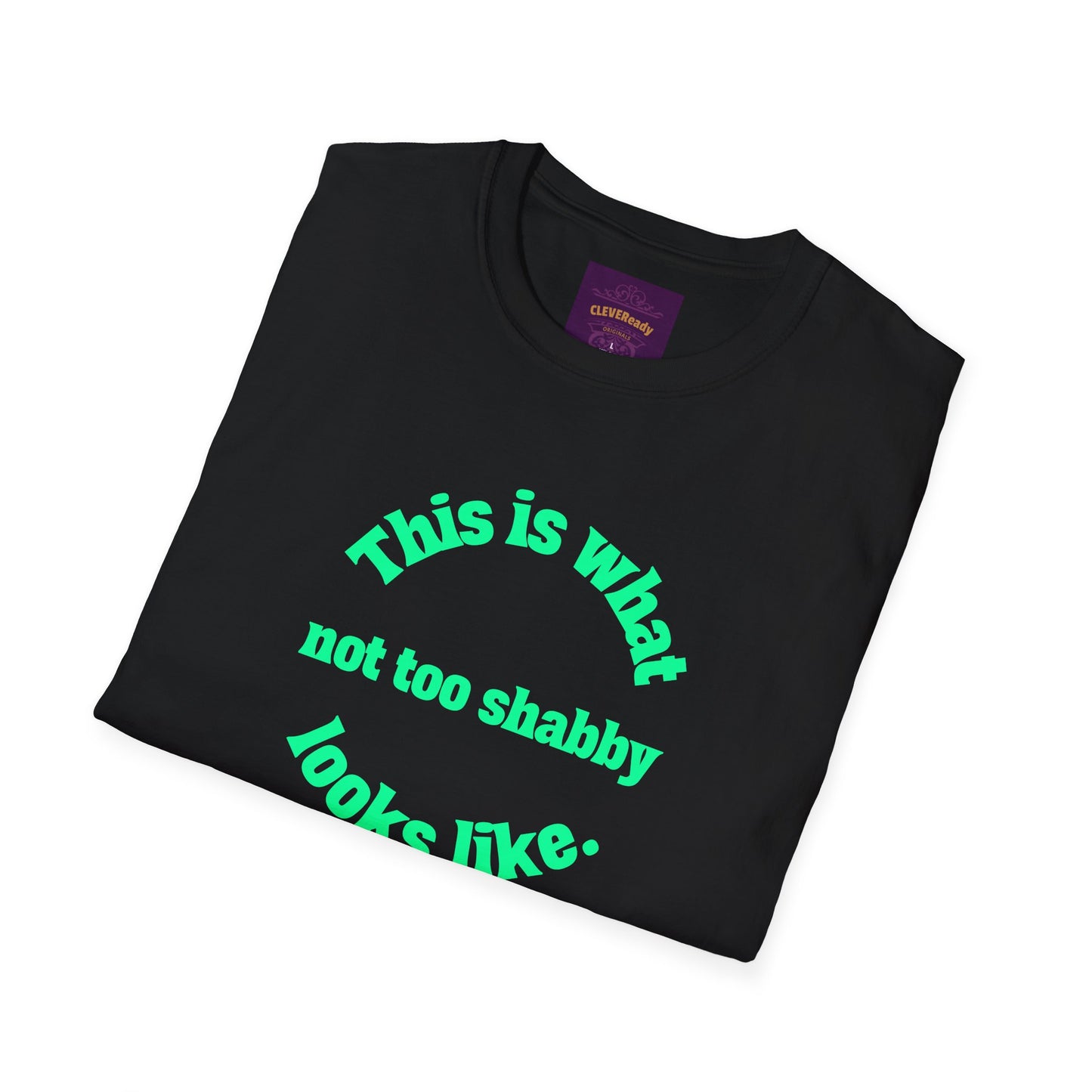 Not Too Shabby - Unisex Softstyle T-Shirt